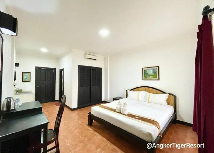 Angkor Tiger Siem Reap