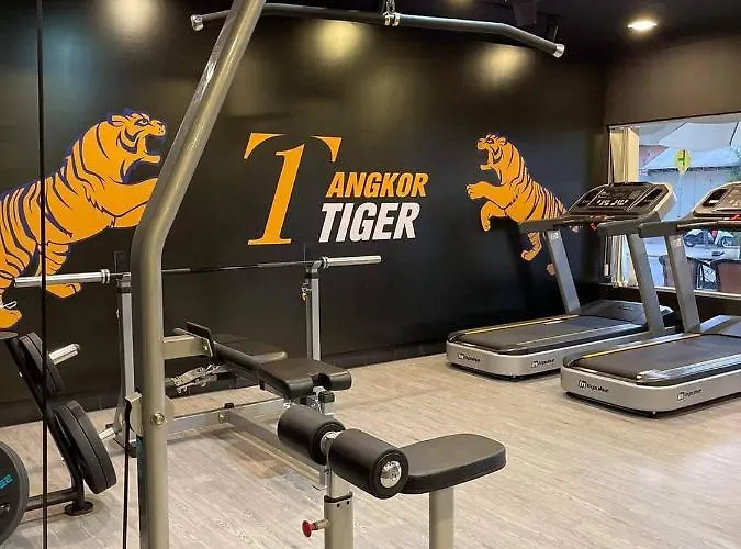 Angkor Tiger ホテル 4*